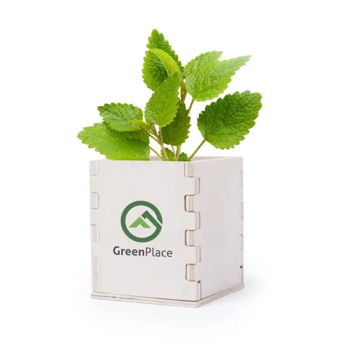 Gift Campaign Porta vaso in legno con vasetto biodegradabile e semi di menta Box> Vasetti Con Semi