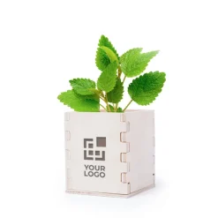 Gift Campaign Porta vaso in legno con vasetto biodegradabile e semi di menta Box></noscript> Vasetti Con Semi
