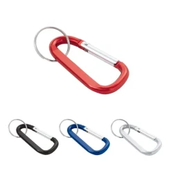 Gift Campaign Portachiavi con moschettone in differenti colori con anello AluClip></noscript> Portachiavi In Metallo