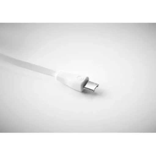 Gift Campaign Portachiavi promozionale naturale cavetti di ricarica USB BambooTech> Portachiavi In Legno