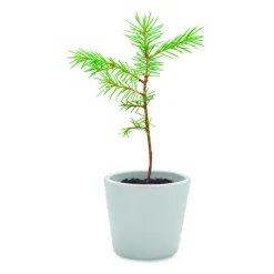 Gift Campaign Quaderni a spirale personalizzati pagine a righe con semi Grow></noscript> Gadget Ecologici|Taccuini Ecologici
