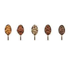 Gift Campaign Scatola con 5 tipi di dragée di cioccolato con frutta secca e candita></noscript> Cioccolatini