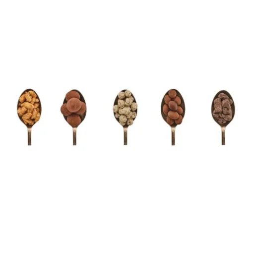 Gift Campaign Scatola con 5 tipi di dragée di cioccolato con frutta secca e candita> Cioccolatini