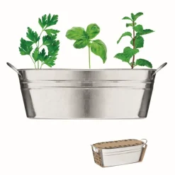 Gift Campaign Semi di erbe aromatiche in grande vaso in zinco Mix Seeds> Vasetti Con Semi