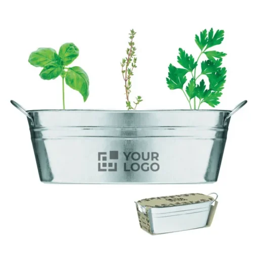 Gift Campaign Semi di erbe aromatiche in grande vaso in zinco Mix Seeds> Vasetti Con Semi