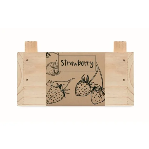 Gift Campaign Semi di fragole in cassetta di con terriccio Strawberry> Vasetti Con Semi