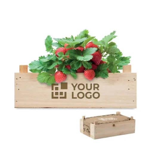 Gift Campaign Semi di fragole in cassetta di con terriccio Strawberry> Vasetti Con Semi
