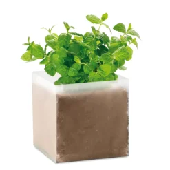 Gift Campaign Semi di menta e compost da giardino in sacchetto personalizzabile> Vasetti Con Semi