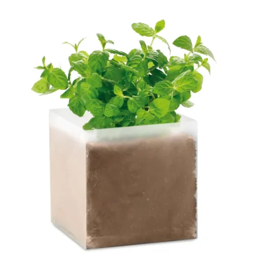 Gift Campaign Semi di menta e compost da giardino in sacchetto personalizzabile> Vasetti Con Semi