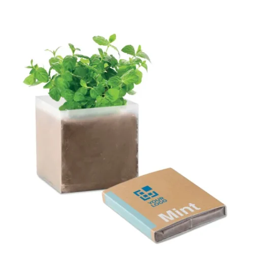 Gift Campaign Semi di menta e compost da giardino in sacchetto personalizzabile> Vasetti Con Semi