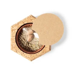 Gift Campaign Semi di pino con porta vaso in sughero personalizzato Pine Seeds> Vasetti Con Semi