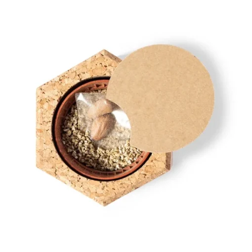 Gift Campaign Semi di pino con porta vaso in sughero personalizzato Pine Seeds> Vasetti Con Semi