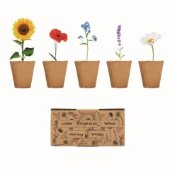 Gift Campaign Set con 5 vasetti personalizzati, terriccio e semi di 5 fiori Flowers Grow> Vasetti Con Semi