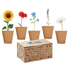 Gift Campaign Set con 5 vasetti personalizzati, terriccio e semi di 5 fiori Flowers Grow></noscript> Vasetti Con Semi