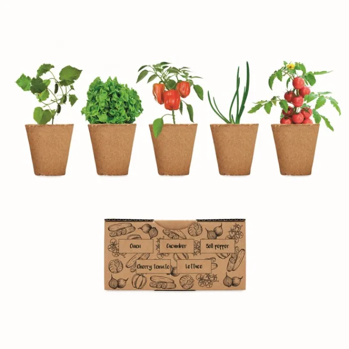 Gift Campaign Set di 5 vasetti, terriccio e semi di 5 ortaggi differenti Veggies Grow> Vasetti Con Semi