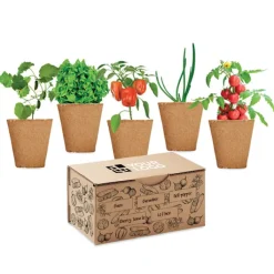 Gift Campaign Set di 5 vasetti, terriccio e semi di 5 ortaggi differenti Veggies Grow><noscript><img width=