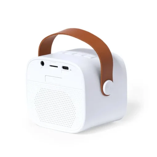Gift Campaign Set per il karaoke con altoparlante da 5W e microfono bluetooth> Casse Personalizzate