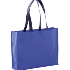 Gift Campaign Shopper con logo dai manici lunghi e neri 100 g/m2 Black Handle></noscript> Shopper Tnt