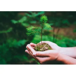 Gift Campaign Taccuini con logo A5 sostenibile pagine a righe riciclate Grow></noscript> Taccuini Ecologici