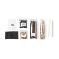 Gift Campaign Terrario in vetro con semi di cactus e coperchio in sughero Kit> Vasetti Con Semi
