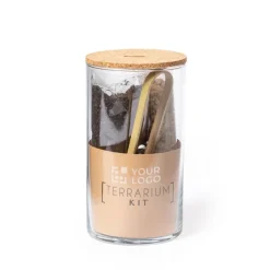 Gift Campaign Terrario in vetro con semi di cactus e coperchio in sughero Kit><noscript><img width=