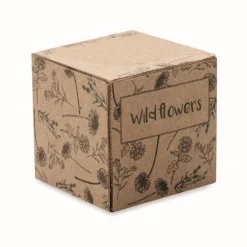 Gift Campaign Terriccio e semi di fiori di campo in scatola di carta Wild Flower></noscript> Vasetti Con Semi