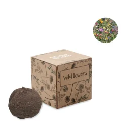 Gift Campaign Terriccio e semi di fiori di campo in scatola di carta Wild Flower></noscript> Vasetti Con Semi