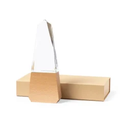 Gift Campaign Trofei personalizzati in vetro con base in legno naturale> Medaglie E Trofei|Gadget Per Eventi Sportivi