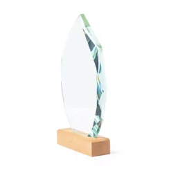 Gift Campaign Trofeo in vetro a forma di ennagono con base in legno da incidere> Medaglie E Trofei|Gadget Per Eventi Sportivi