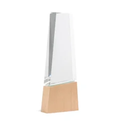 Gift Campaign Trofeo in vetro stilizzato con base in legno per un tocco distintivo> Medaglie E Trofei
