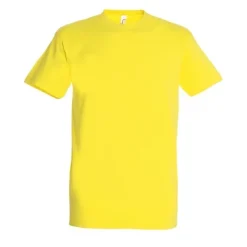 Gift Campaign T-shirt unisex in cotone semipettinato da 190g/m2 SOL'S Imperial></noscript> Magliette Personalizzate