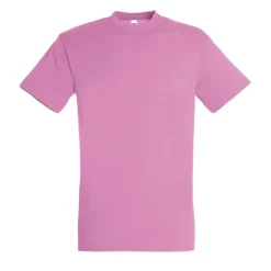 Gift Campaign T-shirt unisex in cotone semipettinato da 150g/m2 SOL'S Regent></noscript> Magliette Personalizzate