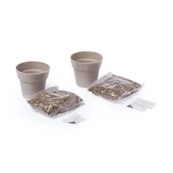 Gift Campaign Vasetti biodegradabili con semi di menta e prezzemolo con substrato> Vasetti Con Semi