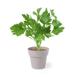 Gift Campaign Vasetti biodegradabili con semi di menta e prezzemolo con substrato> Vasetti Con Semi