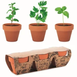 Gift Campaign Vasetti con logo in terracotta e semi di menta, prezzemolo e basilico> Vasetti Con Semi