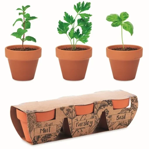 Gift Campaign Vasetti con logo in terracotta e semi di menta, prezzemolo e basilico> Vasetti Con Semi