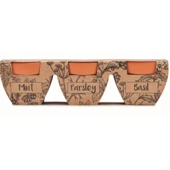 Gift Campaign Vasetti con logo in terracotta e semi di menta, prezzemolo e basilico></noscript> Vasetti Con Semi