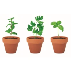 Gift Campaign Vasetti con logo in terracotta e semi di menta, prezzemolo e basilico></noscript> Vasetti Con Semi