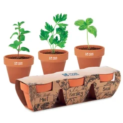Gift Campaign Vasetti con logo in terracotta e semi di menta, prezzemolo e basilico></noscript> Vasetti Con Semi