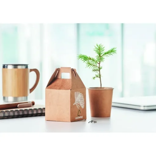 Gift Campaign Vasetti personalizzati con logo con semi di pino da piantare in scatola> Gadget Ecologici|Vasetti Con Semi