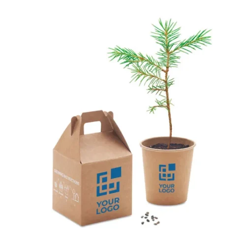 Gift Campaign Vasetti personalizzati con logo con semi di pino da piantare in scatola> Gadget Ecologici|Vasetti Con Semi