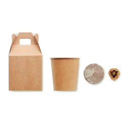 Gift Campaign Vasetti personalizzati con logo con semi di pino da piantare in scatola></noscript> Gadget Ecologici|Vasetti Con Semi