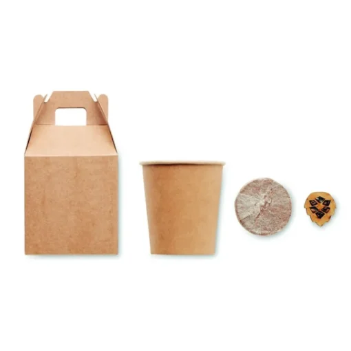 Gift Campaign Vasetti personalizzati con logo con semi di pino da piantare in scatola> Gadget Ecologici|Vasetti Con Semi
