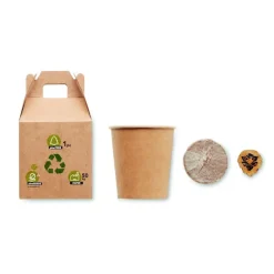 Gift Campaign Vasetti personalizzati con logo con semi di pino da piantare in scatola></noscript> Gadget Ecologici|Vasetti Con Semi