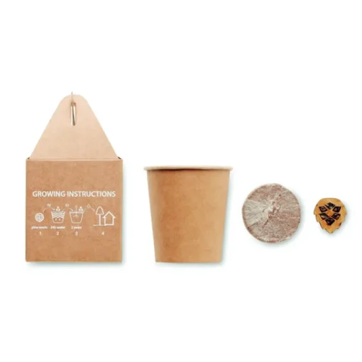 Gift Campaign Vasetti personalizzati con logo con semi di pino da piantare in scatola> Gadget Ecologici|Vasetti Con Semi