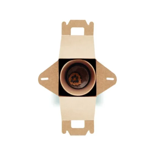 Gift Campaign Vasetti personalizzati con logo con semi di pino da piantare in scatola> Gadget Ecologici|Vasetti Con Semi