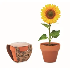 Gift Campaign Vasetti personalizzati di terracotta con terriccio e semi di Girasole> Vasetti Con Semi
