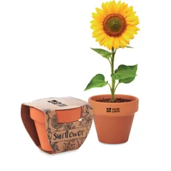 Gift Campaign Vasetti personalizzati di terracotta con terriccio e semi di Girasole></noscript> Vasetti Con Semi