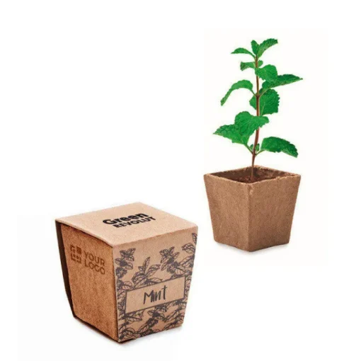 Gift Campaign Vasetto biodegradabile con semi di menta e terriccio prodotto in UE> Vasetti Con Semi