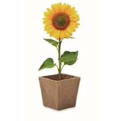 Gift Campaign Vasetto biodegradabile con semi di girasole e terriccio prodotto in UE> Vasetti Con Semi